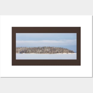 Lake landscape and forest island at winter day Posters and Art